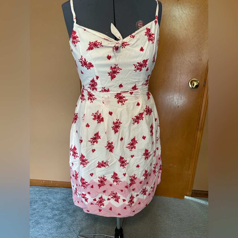 Ann Taylor LOFT Red and White flower summer dress